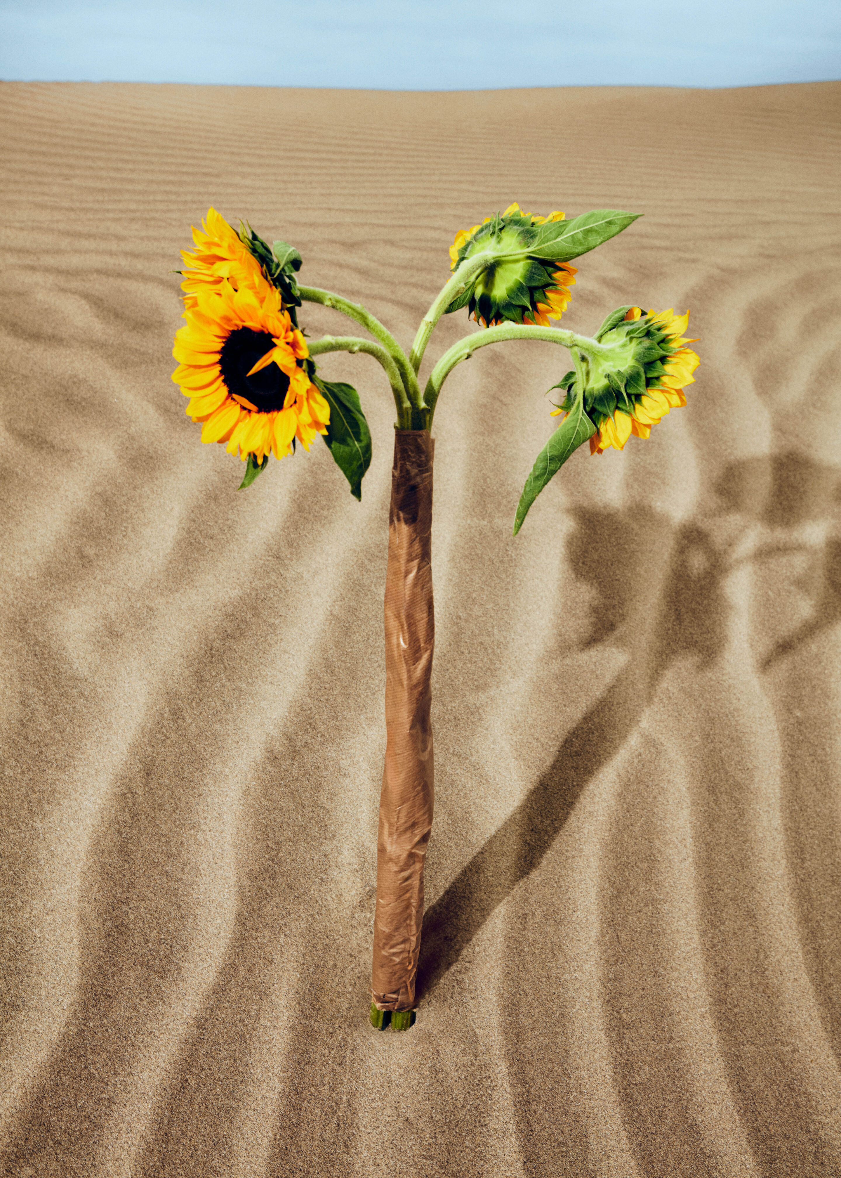 Estilo infantil Kenzo para niña y niño: conjuntos florales con estampado de girasol, moda colorida premium y de lujo en Kidsaround