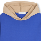Sudadera con capucha BILLIEBLUSH 
                    NI&Ntilde;O