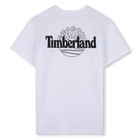 Camiseta de mangas cortas TIMBERLAND 
                    NI&Ntilde;O