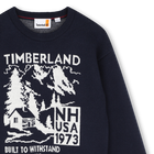Su&eacute;ter TIMBERLAND 
                    NI&Ntilde;O