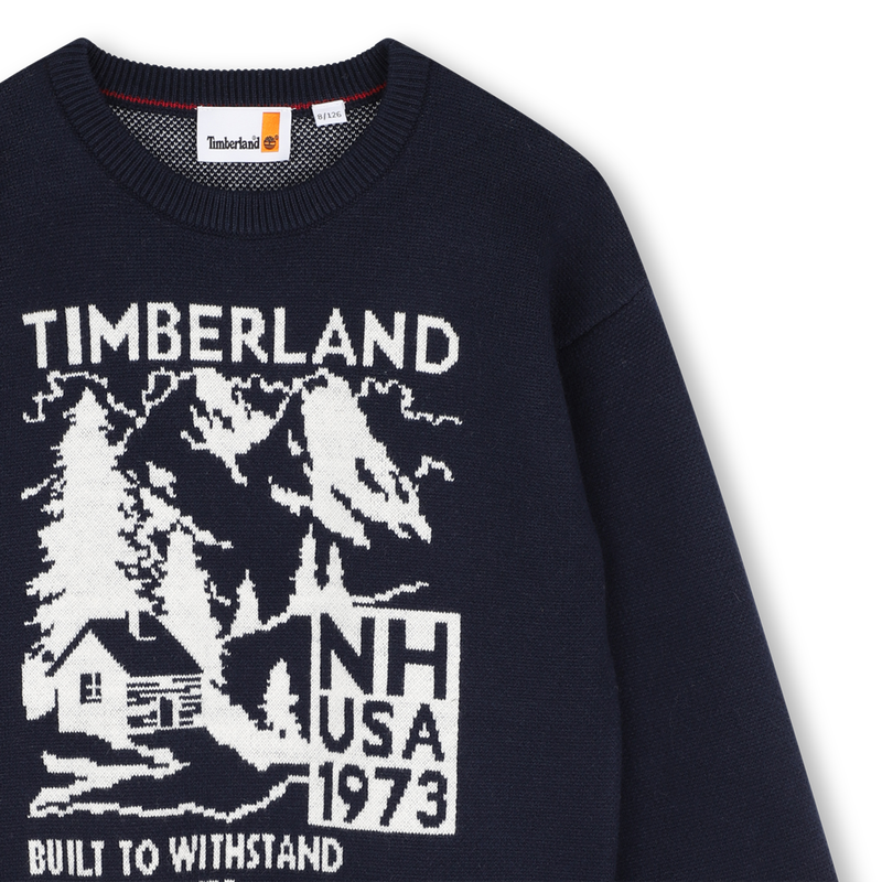Su&eacute;ter TIMBERLAND 
                        NI&Ntilde;O