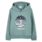 SUDADERA CON CAPUCHA, VERDE PINO, hi-res