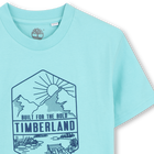 Camiseta de manga corta TIMBERLAND 
                    NI&Ntilde;O