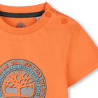Camiseta de manga corta TIMBERLAND 
                    NI&Ntilde;O