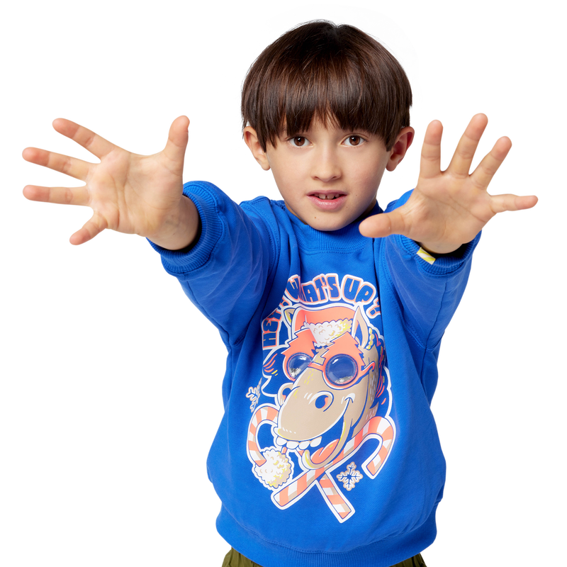 Sudadera de Navidad BILLIEBLUSH 
                        NI&Ntilde;O