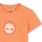 Camiseta de manga corta TIMBERLAND 
                    NI&Ntilde;O
