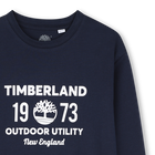 Lote de camisetas TIMBERLAND 
                    NI&Ntilde;O