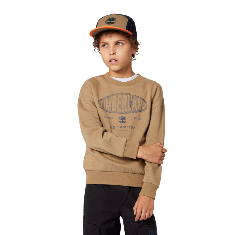 Sudadera de vell&oacute;n cepillado TIMBERLAND 
                        NI&Ntilde;O