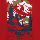 Camiseta de manga larga TIMBERLAND 
                    NI&Ntilde;O