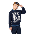 Su&eacute;ter TIMBERLAND 
                    NI&Ntilde;O