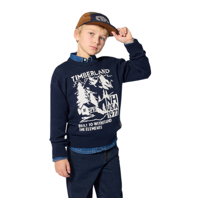 Su&eacute;ter TIMBERLAND NI&Ntilde;O