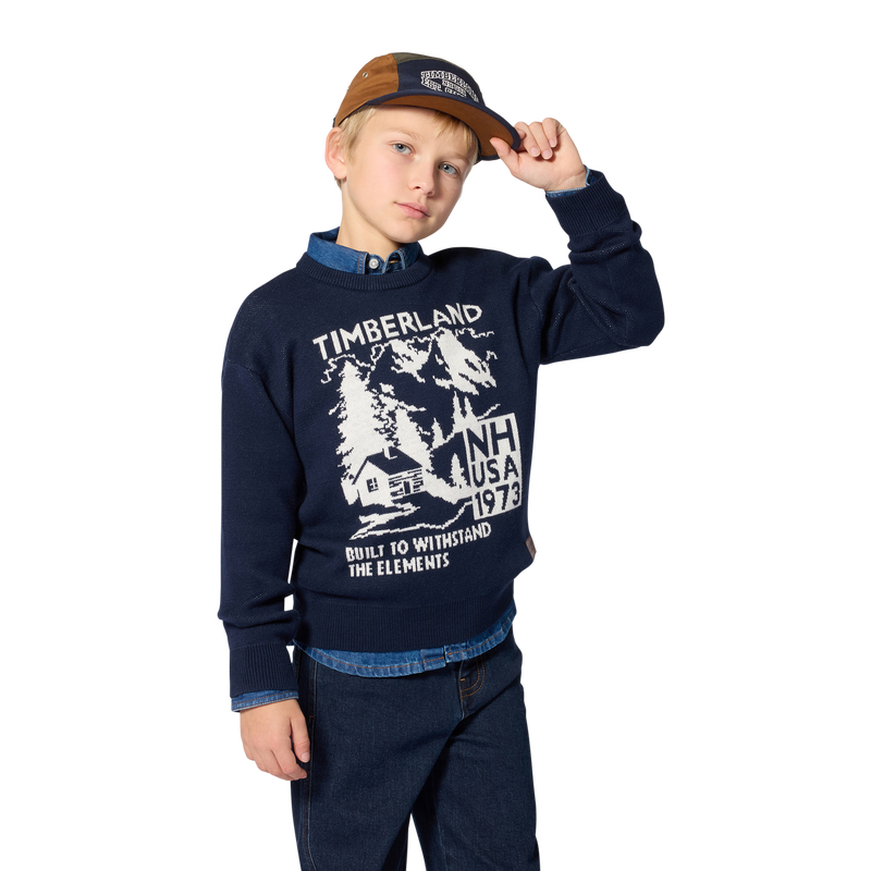 Su&eacute;ter TIMBERLAND 
                        NI&Ntilde;O