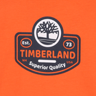 Camiseta de manga larga TIMBERLAND 
                    NI&Ntilde;O